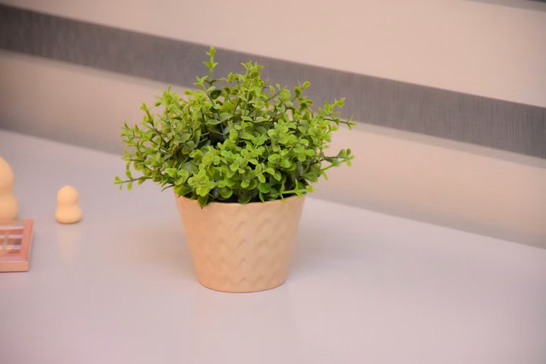 Franzolin Engenharia – foto 46
