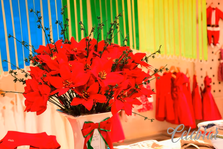 Look Baby: Luzes de Natal – foto 34