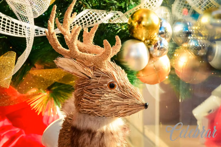Look Baby: Luzes de Natal – foto 45