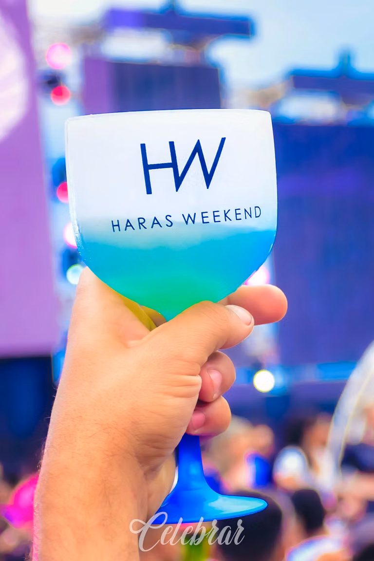 haras weekend – foto 347