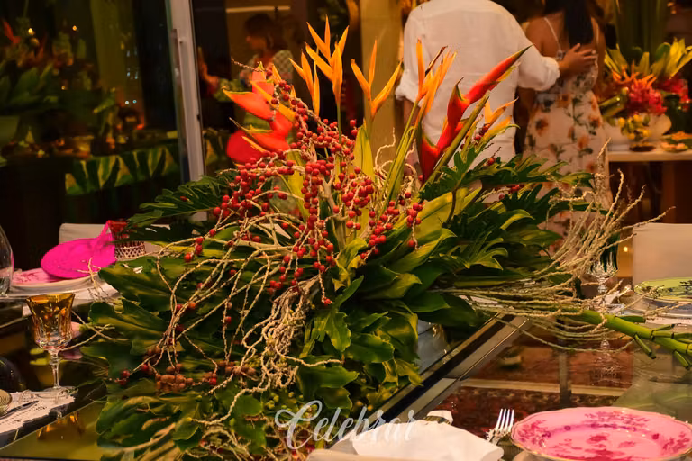 Noite Tropical – foto 71