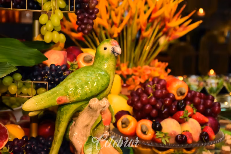Noite Tropical – foto 80