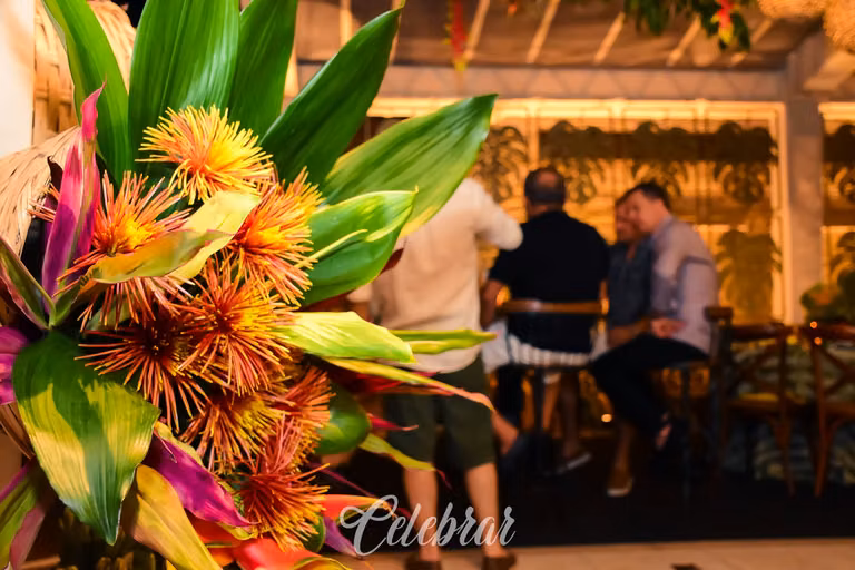 Noite Tropical – foto 84