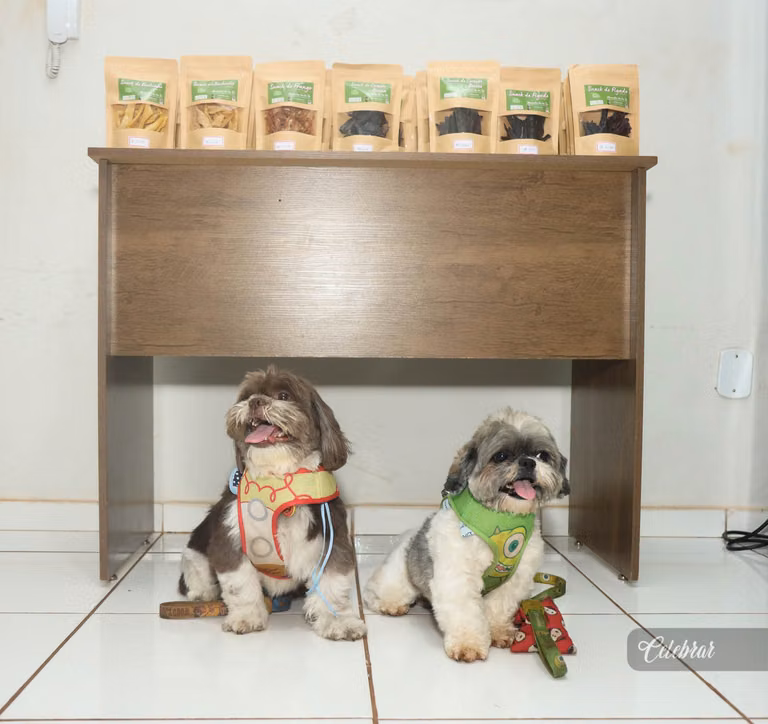 Lançamento snacks da tia sú – foto 70