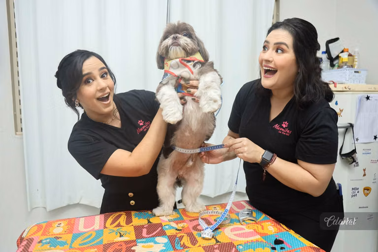 Lançamento snacks da tia sú – foto 78