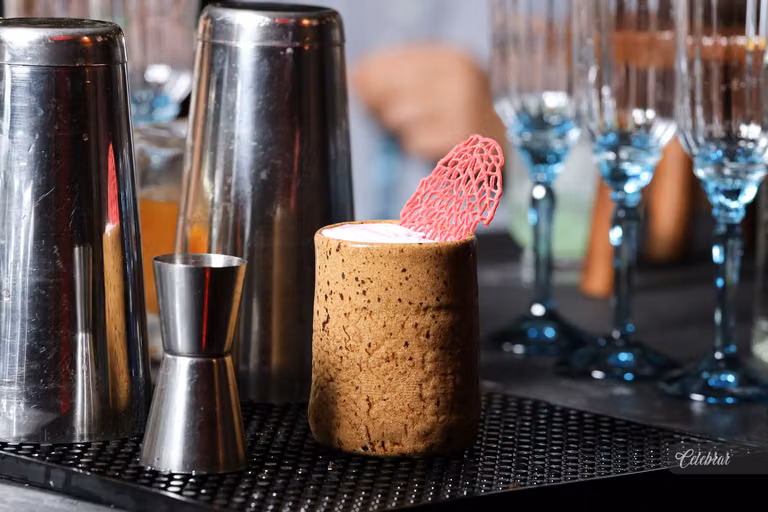 Nova carta de drinks malibu bartenders – foto 178