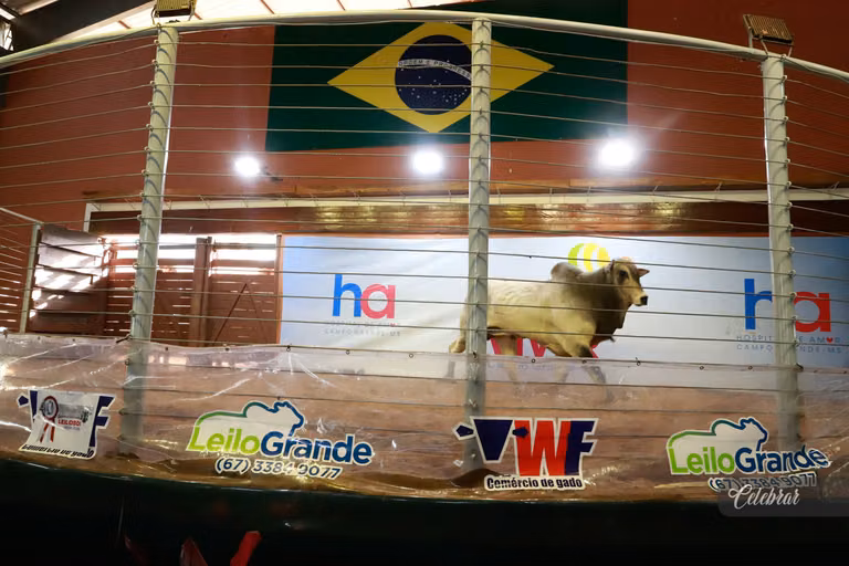2º Leilão Direito de Viver de Campo Grande – foto 6