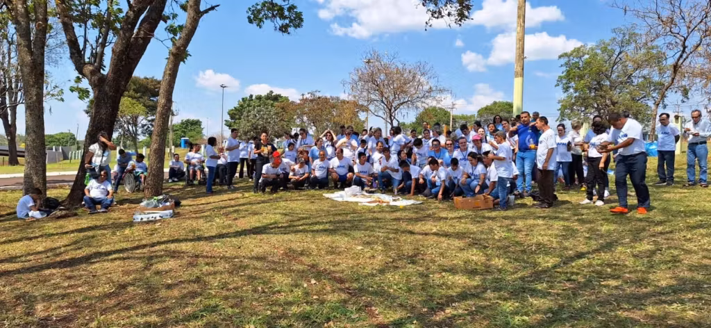 Apoie o Projeto MP Social