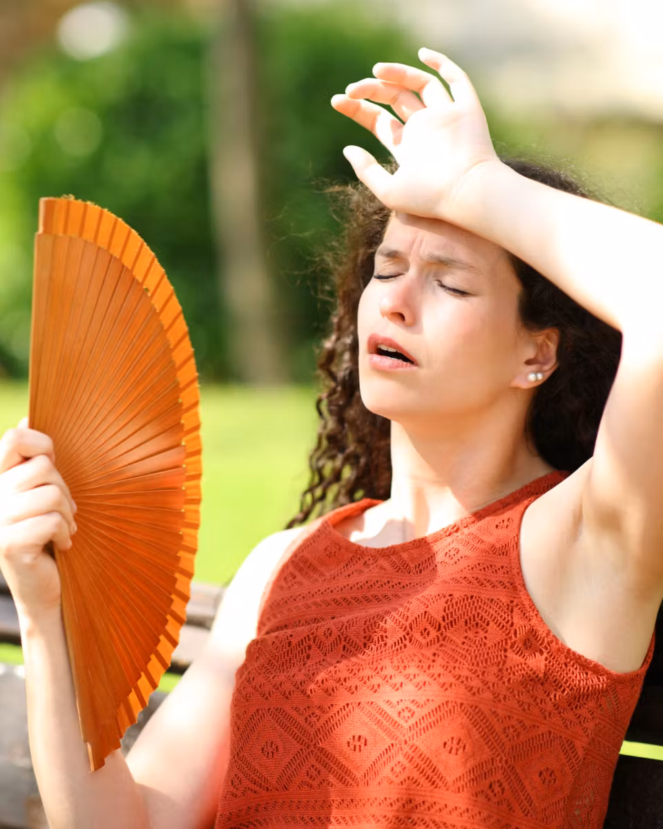 Calor e final de ano chegando, as carteiras de vacinas estão em dia?