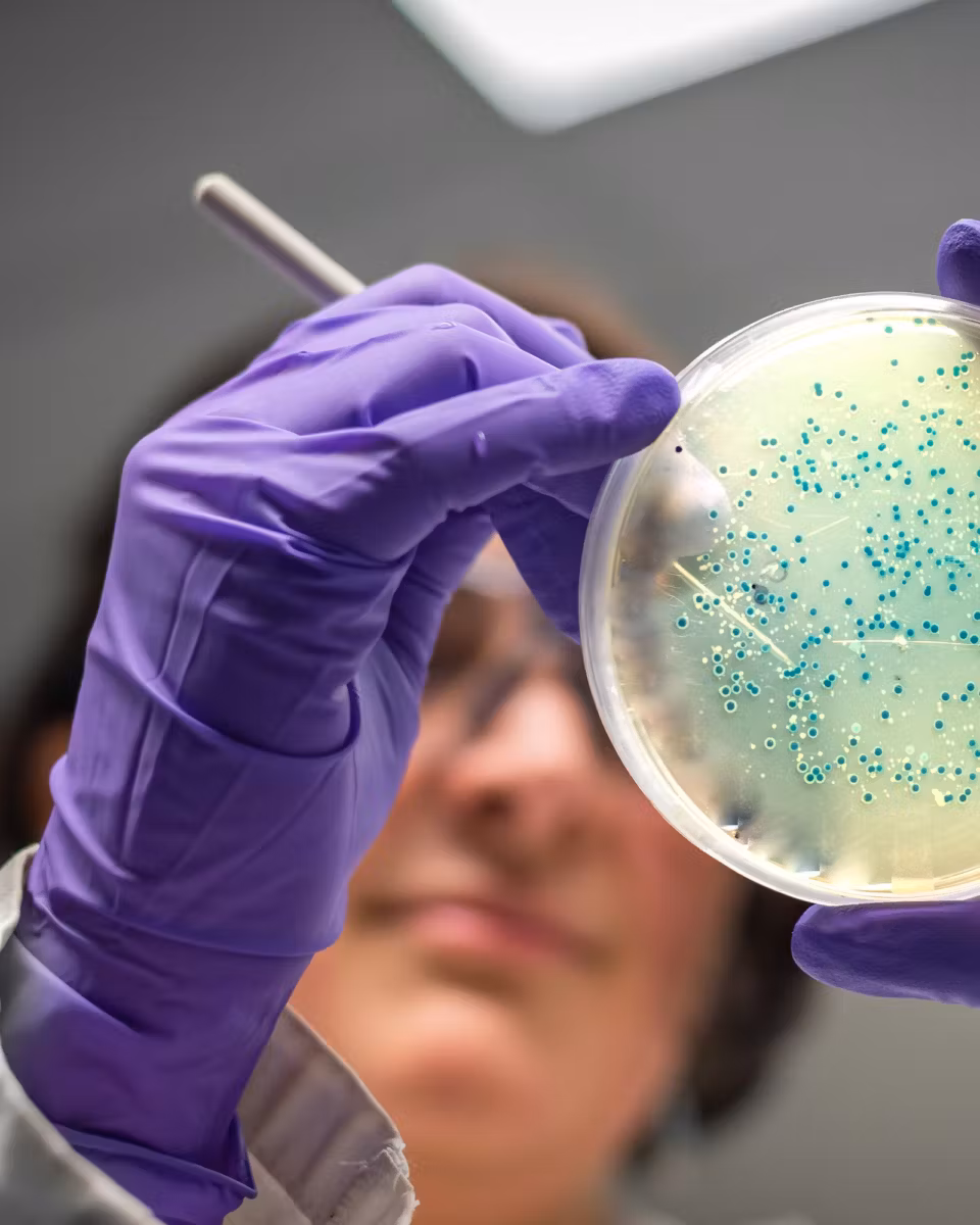 Você sabe quais vacinas podem proteger sua família contra as meningites bacterianas?