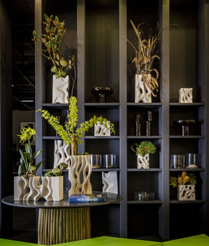 Apresento a Nova Coleção Raiz: Design que Conecta e Inspira — foto 2