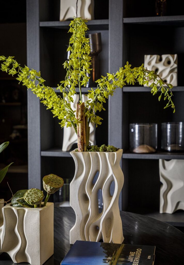 Apresento a Nova Coleção Raiz: Design que Conecta e Inspira — foto 3