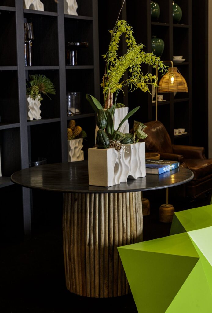 Apresento a Nova Coleção Raiz: Design que Conecta e Inspira — foto 8