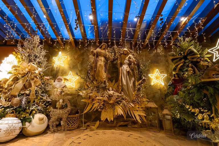 Uma noite para celebrar a magia do Natal e a beleza dos novos ciclos. – foto 12