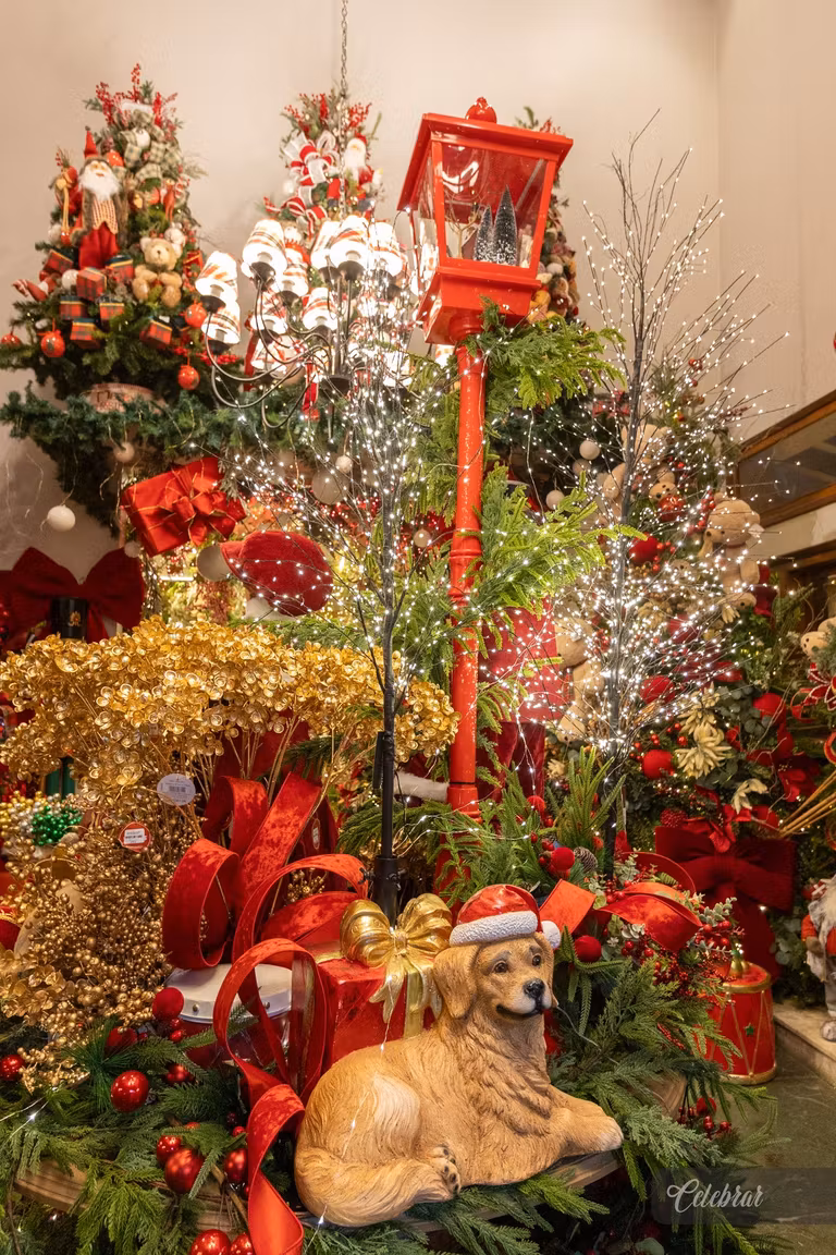 Uma noite para celebrar a magia do Natal e a beleza dos novos ciclos. – foto 26