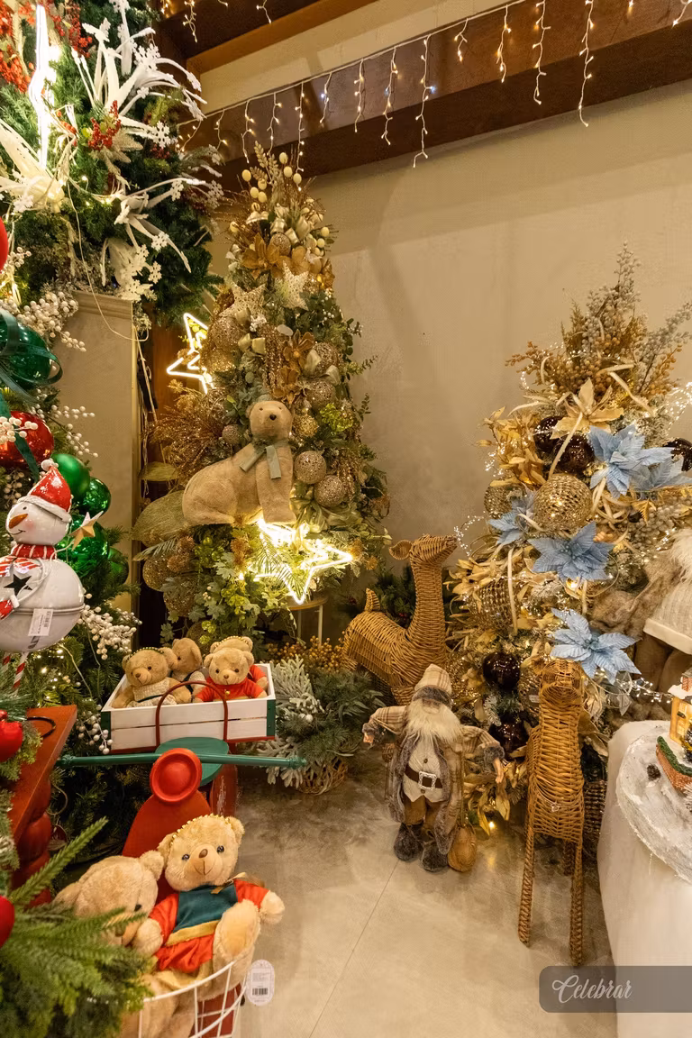 Uma noite para celebrar a magia do Natal e a beleza dos novos ciclos. – foto 7